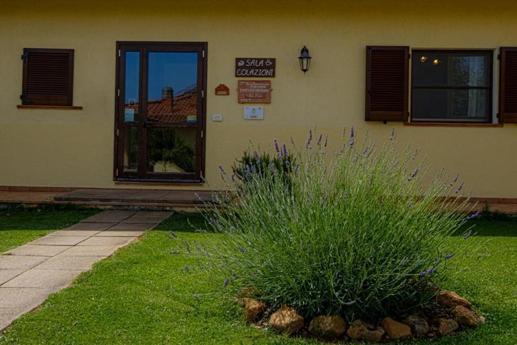 Agriturismo La Fata Grosseto Exterior foto